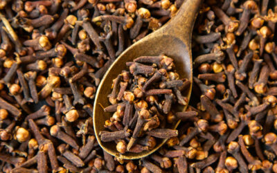 Cloves: A Powerful Spice for Lifelong Health and Hormonal Balance