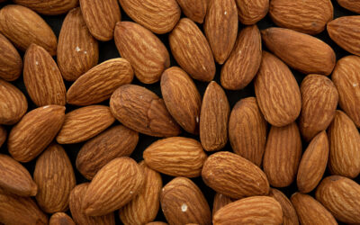 Almonds and Human Health: Why This Ancient Seed Deserves a Place in Every Stage of Life